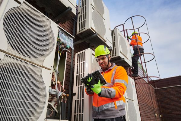 Your paragraph text (3)